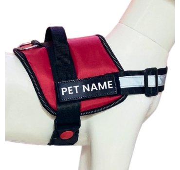 Custom Dog Vest Harness – Comfortable, Adjustable & Stylish