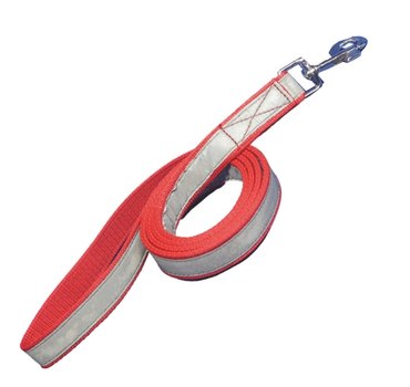 Dog Reflective Leash – Durable & Safe for Night Walks